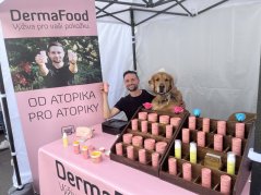 DermaFood a Dyzajn market
